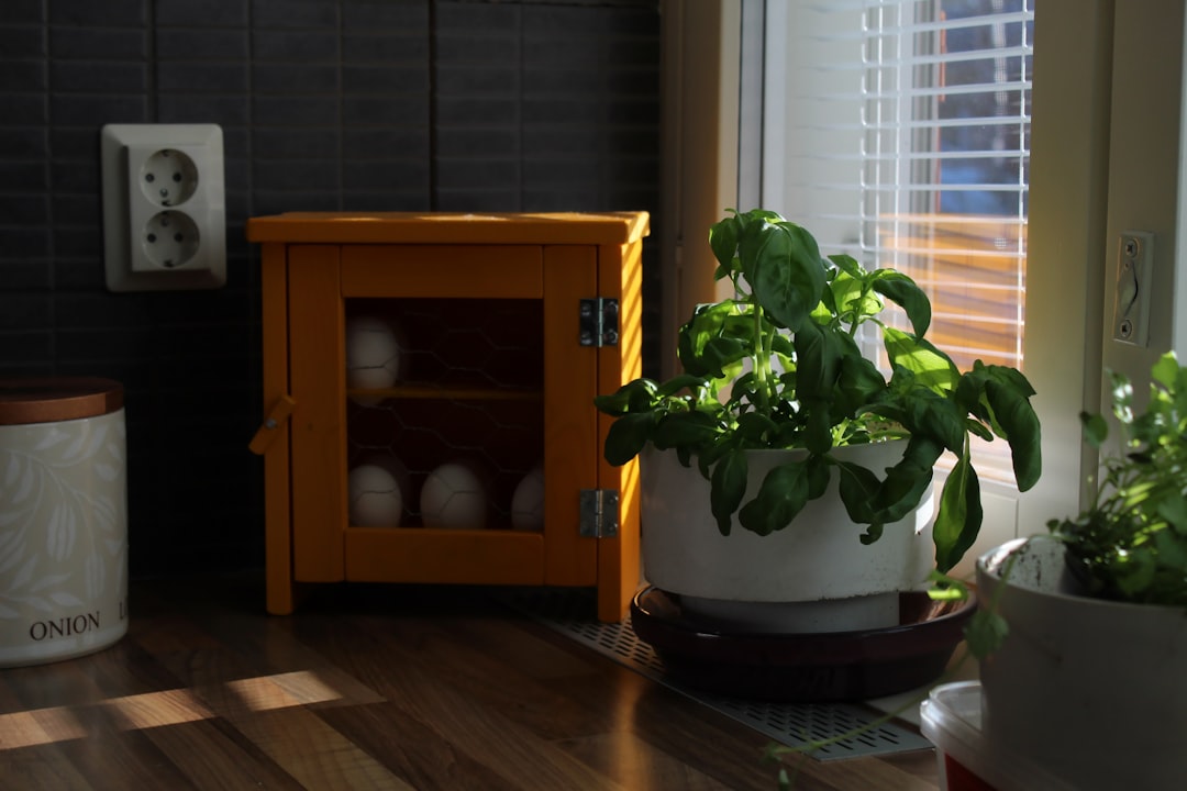 best pot and pan organizer for small kitchens under $50