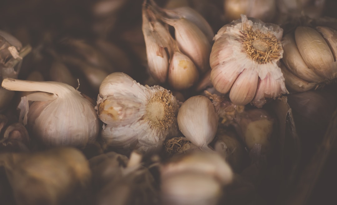 best garlic press that actually minces under $20