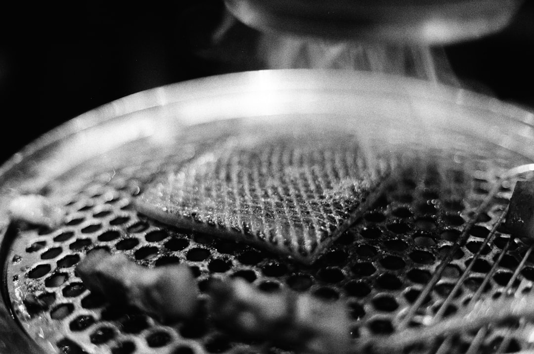 best microplane grater for zesting and cheese under $25