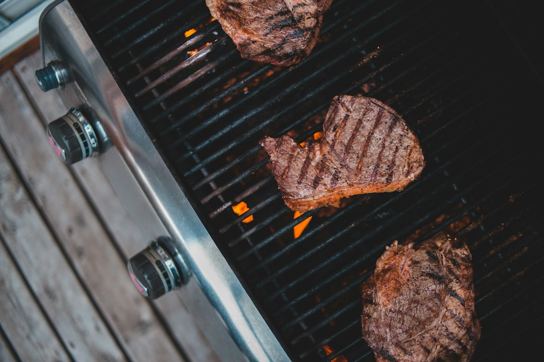 best meat thermometer that reads fast under $20